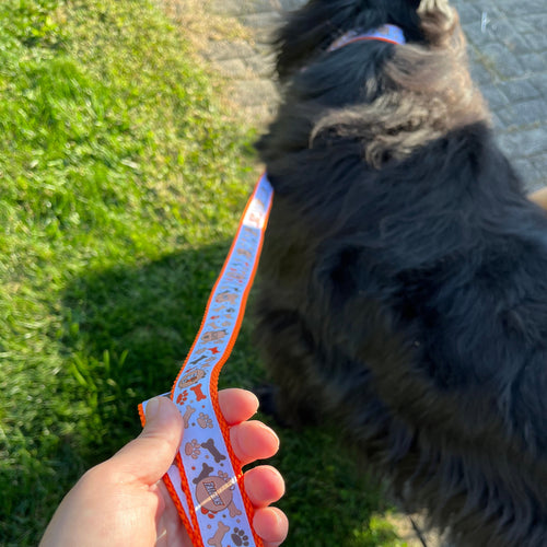 BGSU Pet Leash