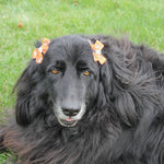 All Star Dog BGSU Hair Bow