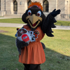 BGSU Frieda Falcon Squishy Plush