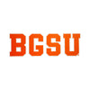BGSU CDI Car Decal