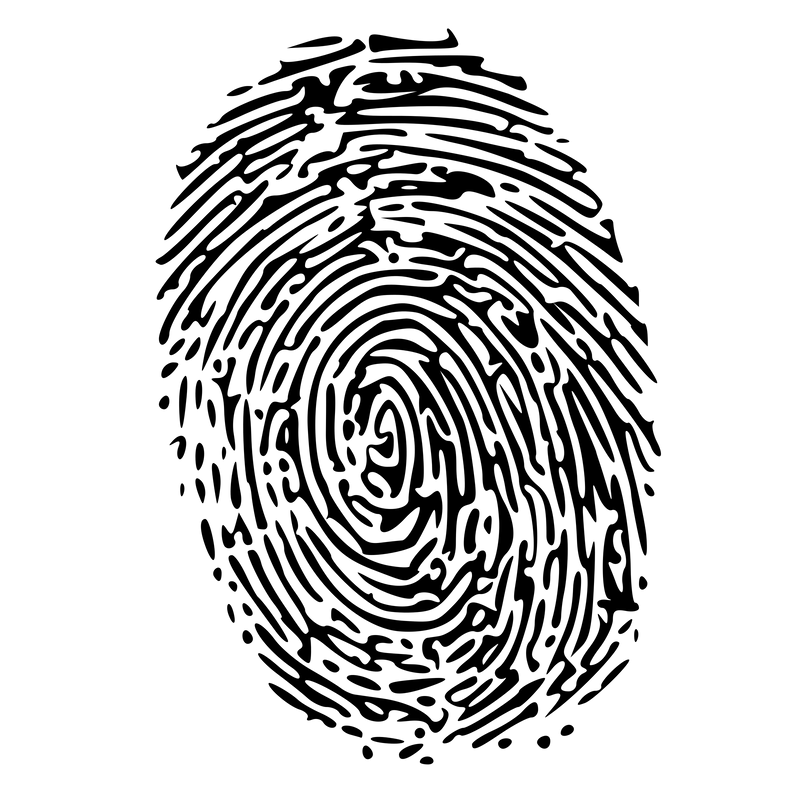 FBI Background Check